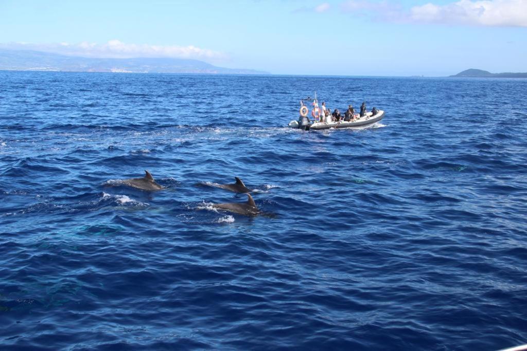 Cantinho Dos Cagarros Lajes do Pico Bagian luar foto