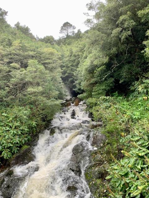 Cantinho Dos Cagarros Lajes do Pico Bagian luar foto