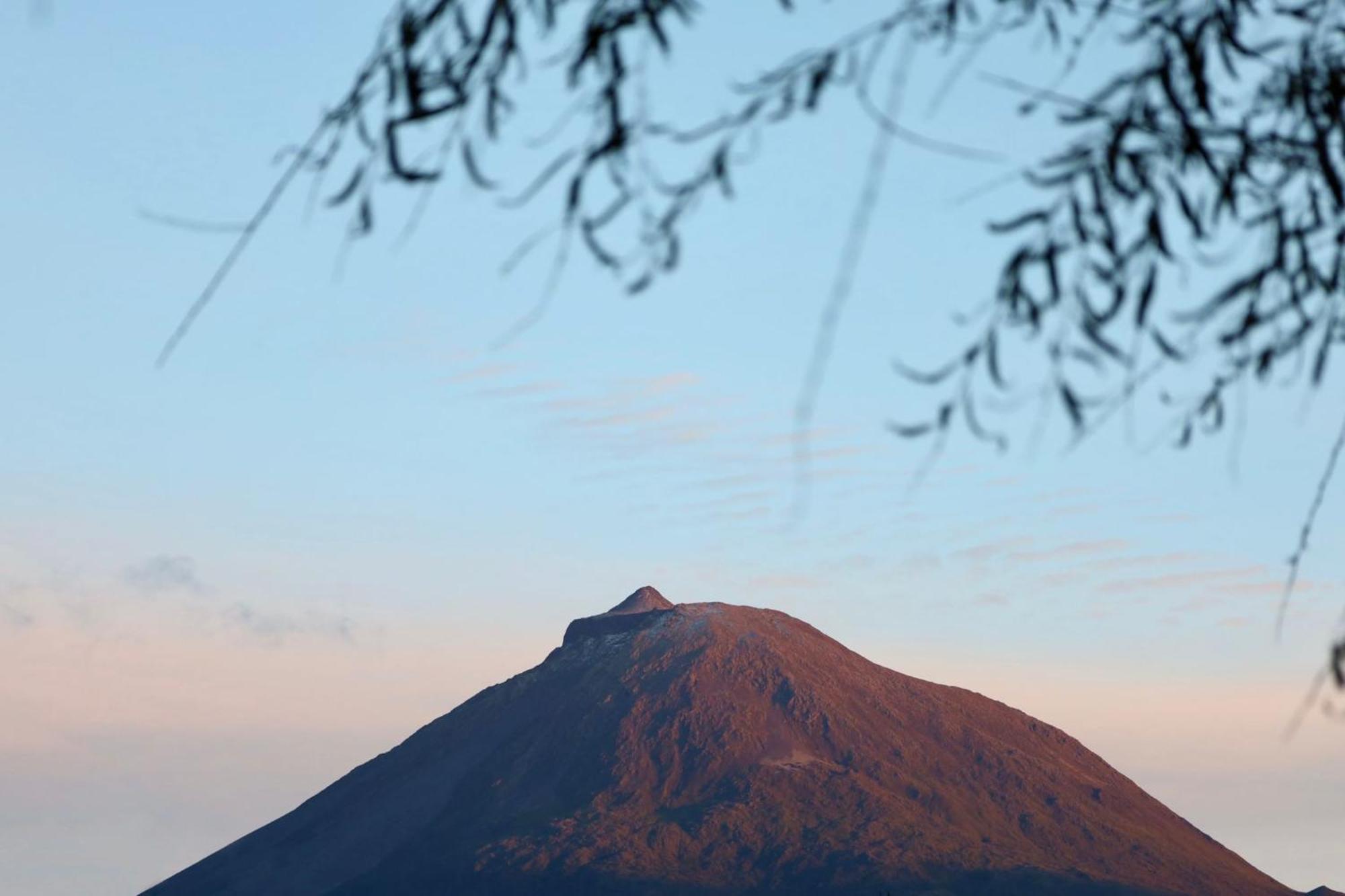 Cantinho Dos Cagarros Lajes do Pico Bagian luar foto