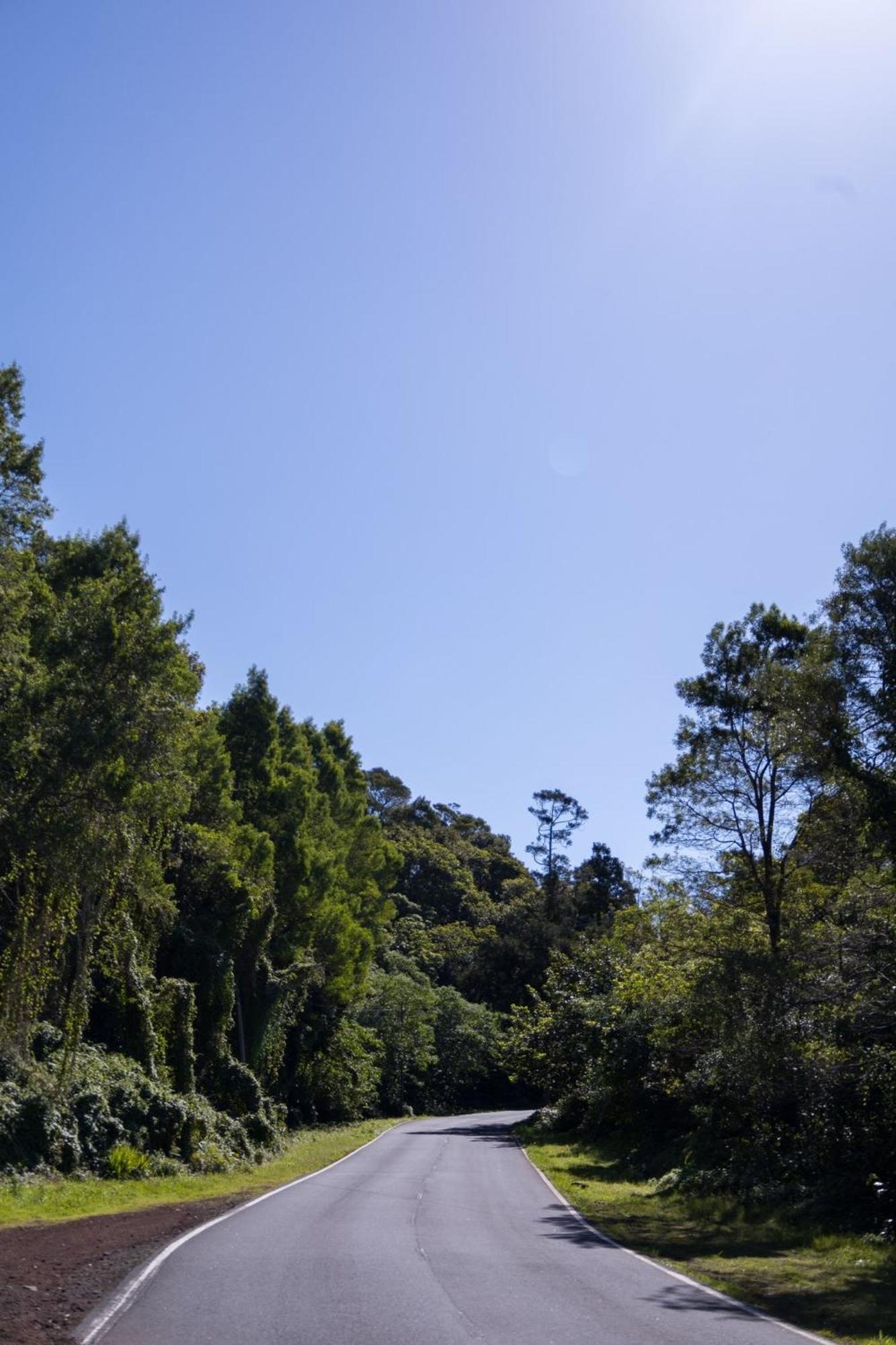 Cantinho Dos Cagarros Lajes do Pico Bagian luar foto