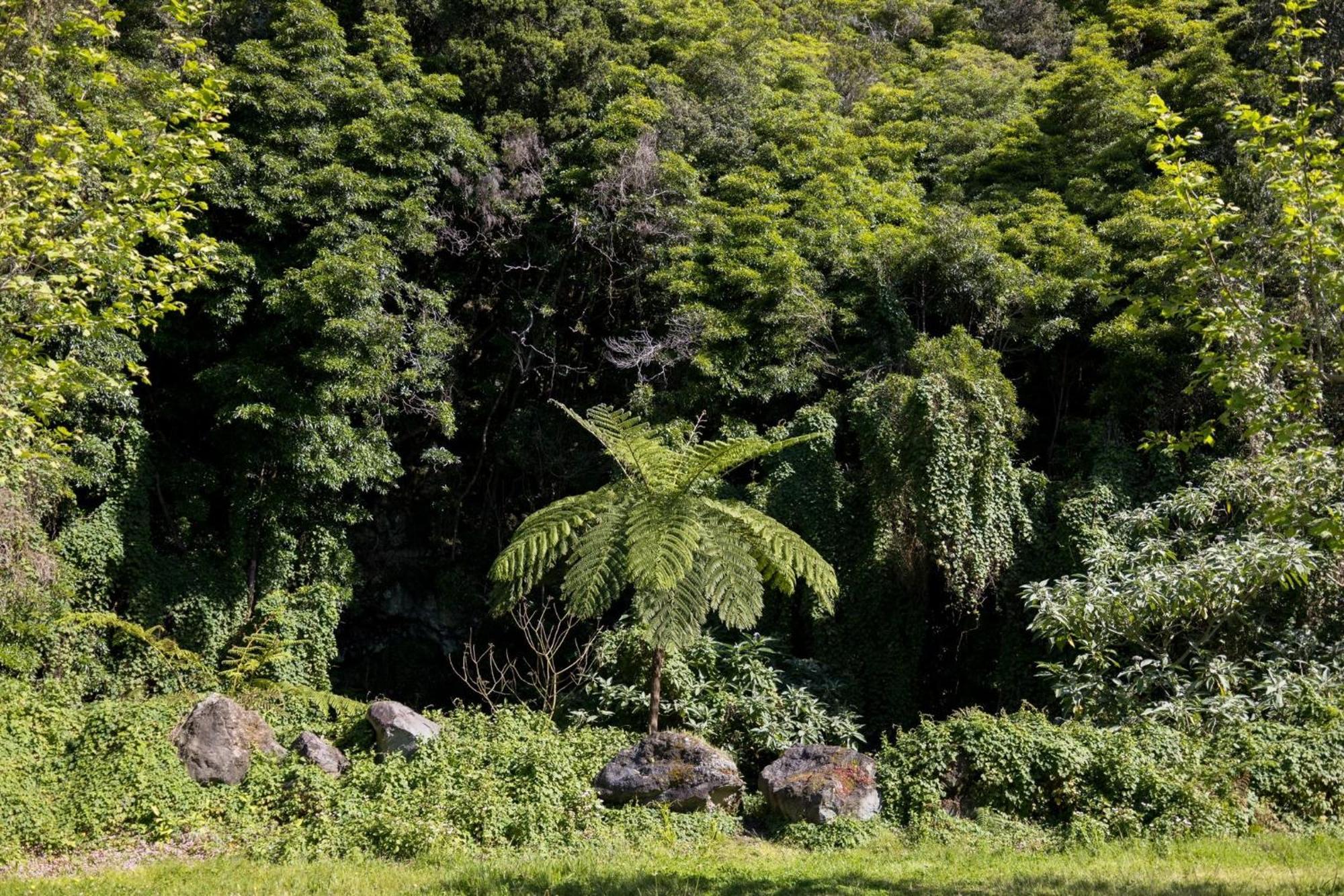 Cantinho Dos Cagarros Lajes do Pico Bagian luar foto